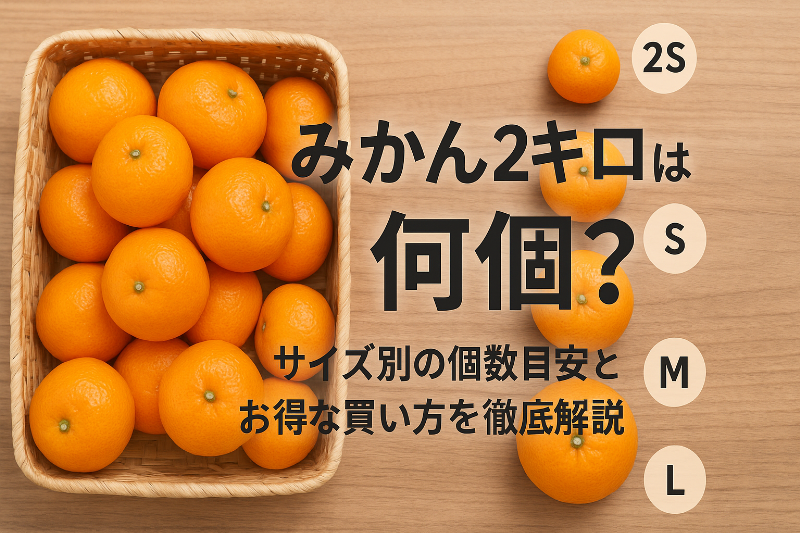みかん二キロは何個？サイズ別の個数目安とお得な買い方を徹底解説