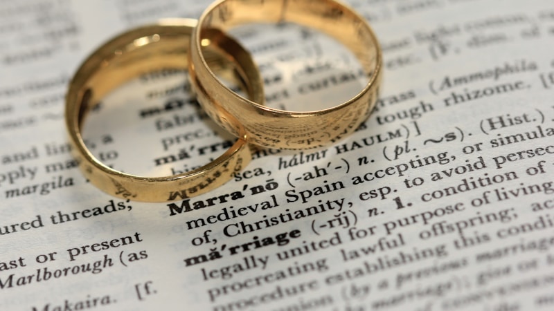 メディチ家とハプスブルク家の関係をわかりやすく解説|婚姻・権力・ヨーロッパ史のつながりとは